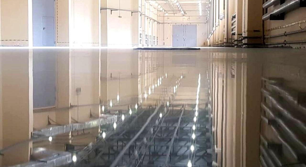 photo_premium_reflection photo_premium_reflection